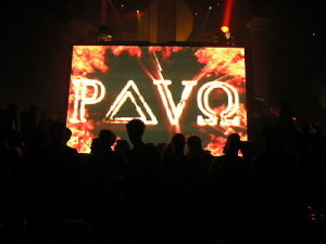 PAVO
