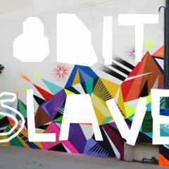 8-bit Slave