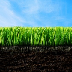 Above Ground