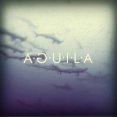 Aguila