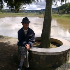 ALBEE