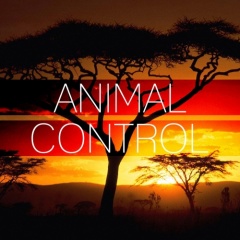 ANIMAL CONTROL