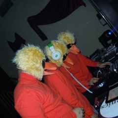 Animal Funk!