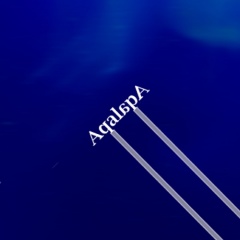 ApalapA