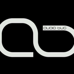 Audio Bug