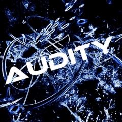 Audity