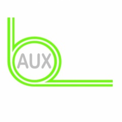 Auxiliary