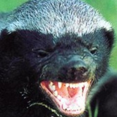 BadgerSmaker