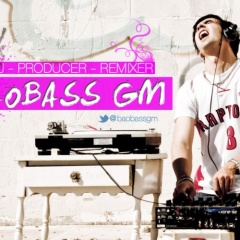 BaoBass gm