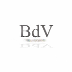 Ben_de_Vries