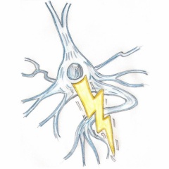 BioStorm