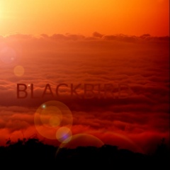 BLACKBIRD