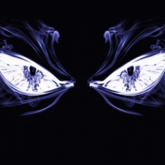 Black Noise project