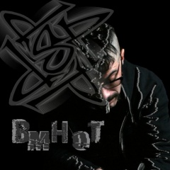 BmHoT-dSP