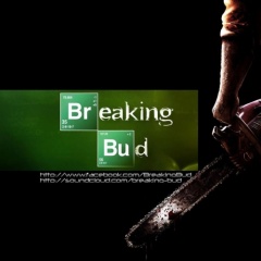 BREAKING BUD
