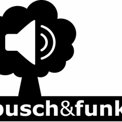 buschundfunk
