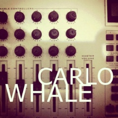Carlo whale