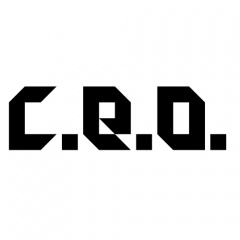 C.E.O Official