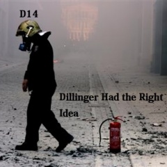 D14