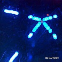 DARMOR