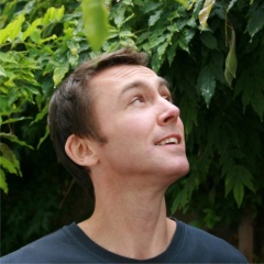 DAVID REES