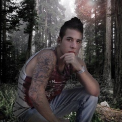 DAVID SULIHVAN