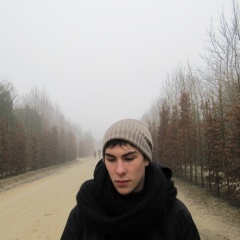 David Triana