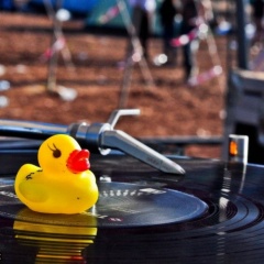 De Duck