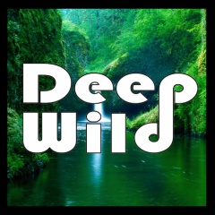 Deep Wild
