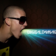 Digital Damage