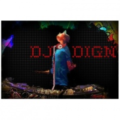 DJ DIGN