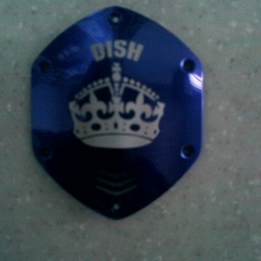 Dish