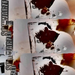 Distinct/Schwarzfunk