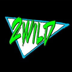 DJ 2wild
