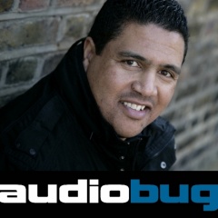 Audiobug