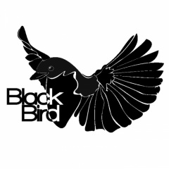 Black Bird