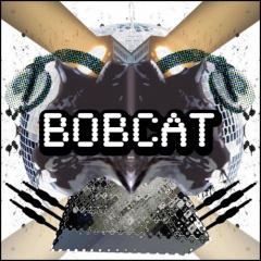 DJ Bobcat