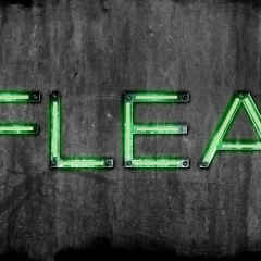 DJFleaDE
