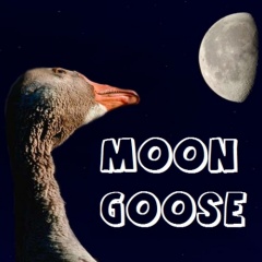 Moon Goose