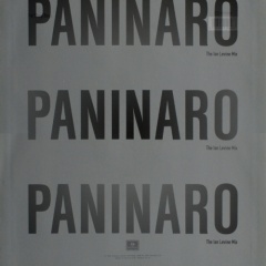 Dj Paninaro
