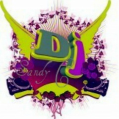 DJ Sandy C