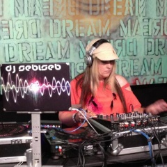 Dj Sebiseb