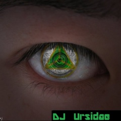 Ursidae