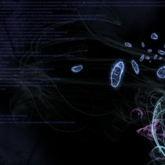 DNAnSTRAIN
