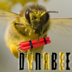 DYNABEE