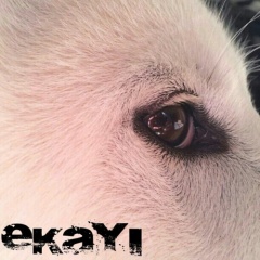 EKayi