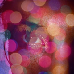 elastica