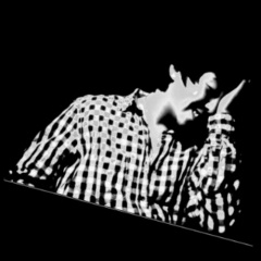 Elecoy
