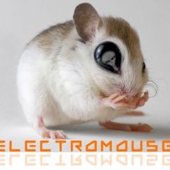 Electromouse