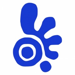 R-9